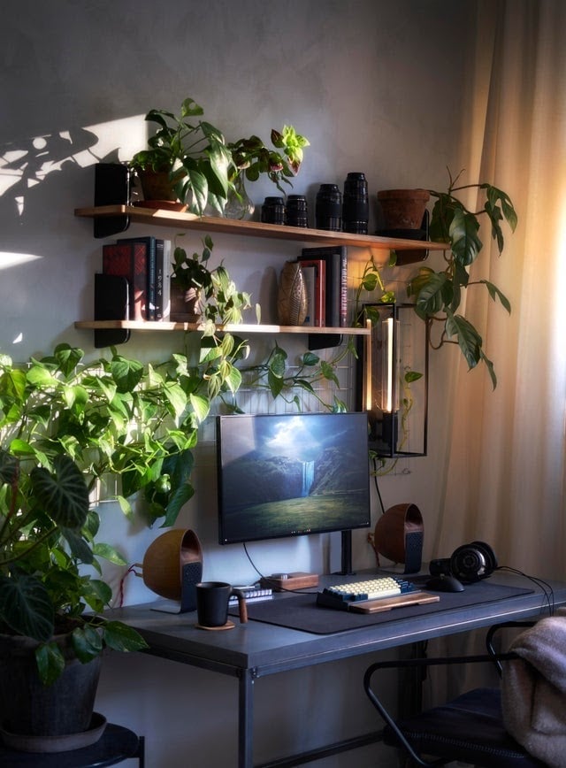 The Plant Oasis Gaming Bedroom