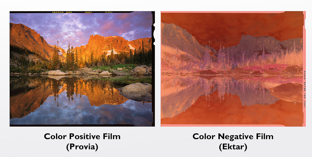 “Contrasting Perspectives of Nature: A Comparative Look at Two Artists’ Works”