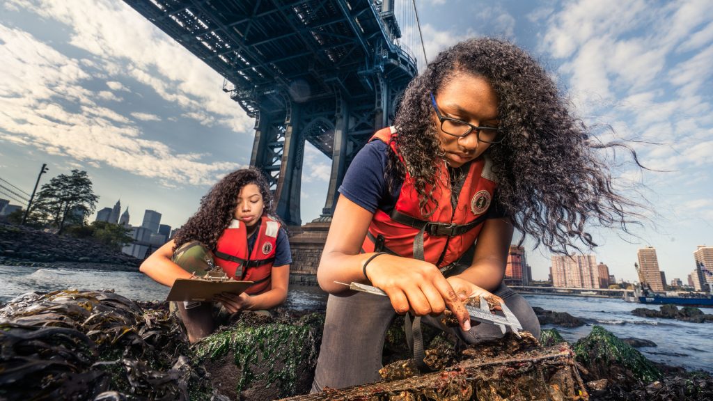 Gowanus Open Studios Makes a Comeback One Year After Devastating Floods