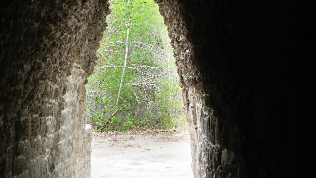 Archaeologists Discover Ancient Maya City with Pyramids and Plazas Hidden in the Heart of the Mexican Jungle