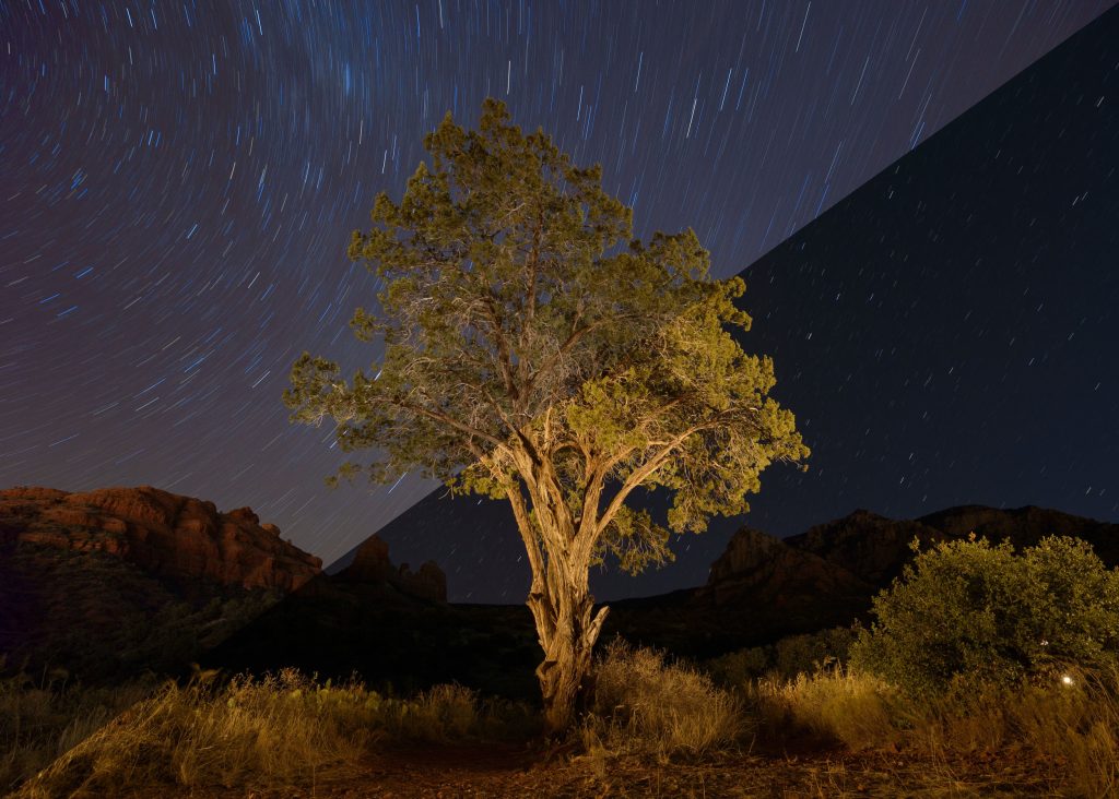 Comet ATLAS and the Milky Way Captured Together in the Mojave Desert