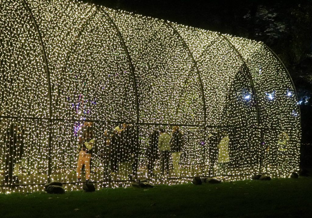 “Lightscape Holiday Event Returns to Brooklyn Botanic Garden”