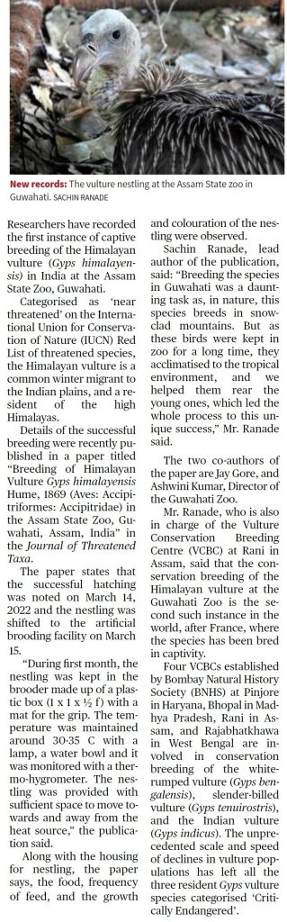 Notable Decrease in Poaching Results in 86% Growth of Indian Rhino Population in Assam