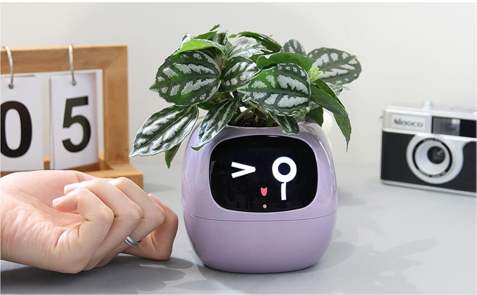 “Plantagotchi: Transform Your Houseplant into an Engaging Virtual Pet Friend”