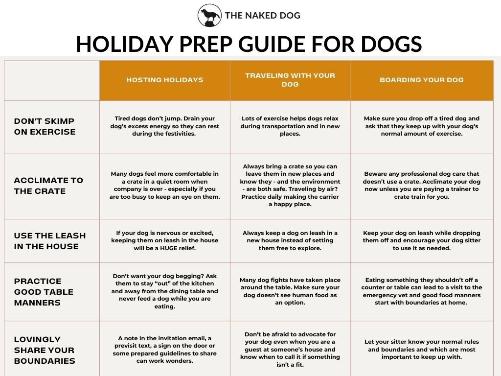 “How Letting Your Dog Explore Scents While Walking Encourages Relaxation and Boosts Awareness of Their Surroundings”