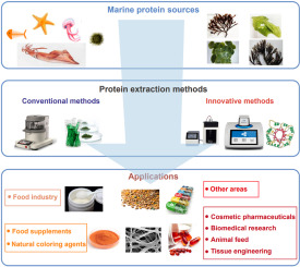 “Uncovering the Beginnings of Worldwide Food Production and the Endeavor to Nourish the World”