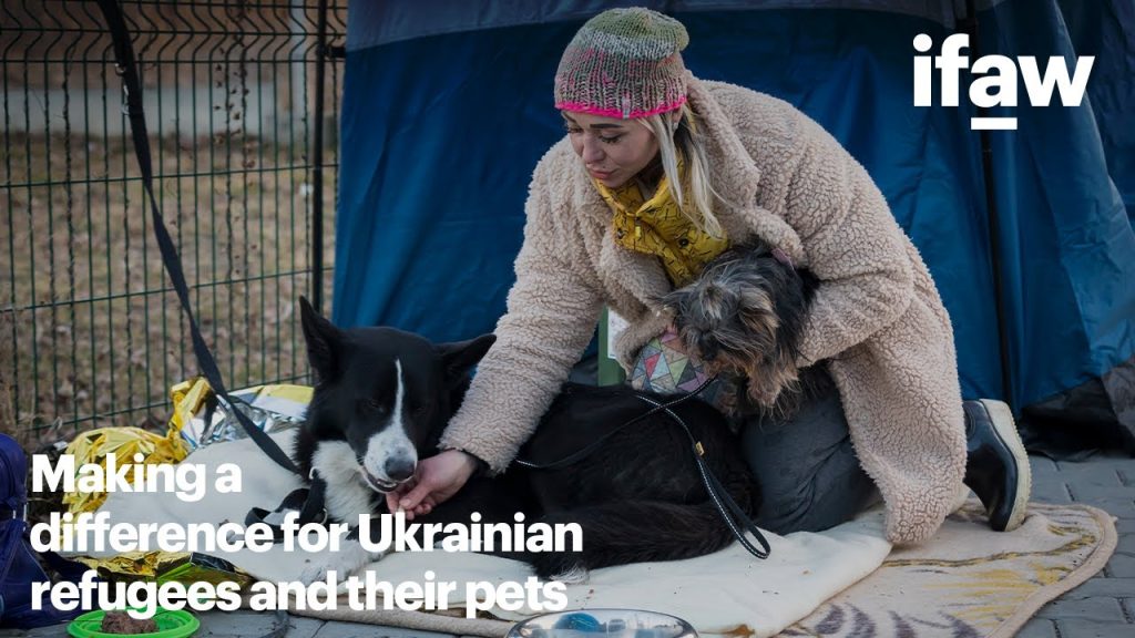 “American Shelters Move Los Angeles Pets to Accommodate Animals Affected by Wildfires”