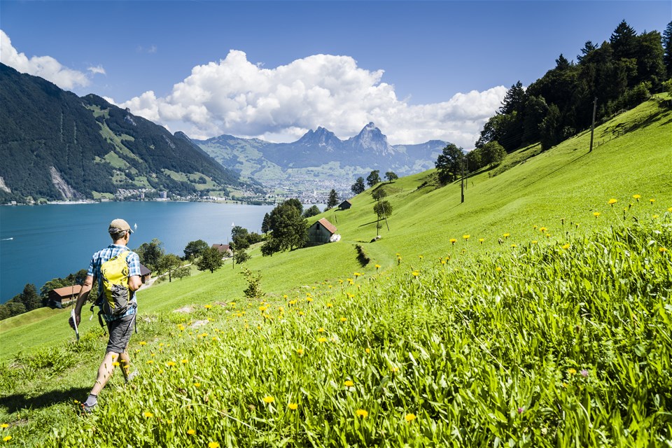 Switzerland’s Latest Passports Highlight Iconic Graphic Design and Breathtaking Landscapes