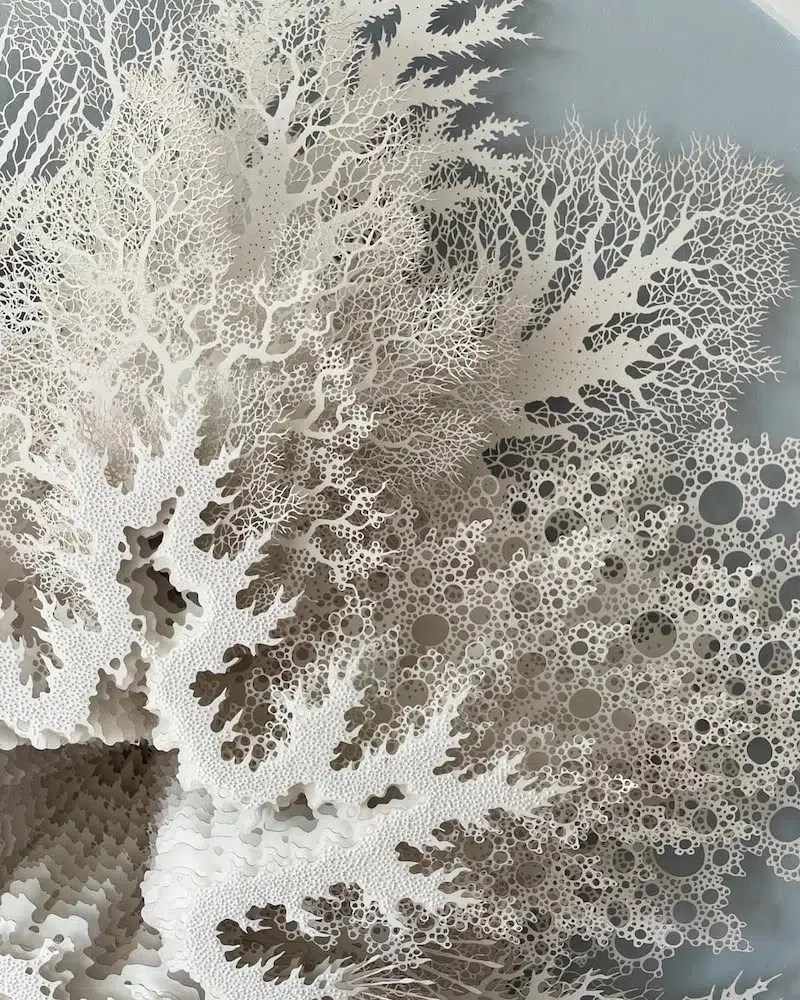 Detailed Laser-Cut Paper Artwork Highlights the Intricate Beauty of Living Creatures Detailed Laser-Cut Paper Artwork Highlights the Intricate Beauty of Living Creatures