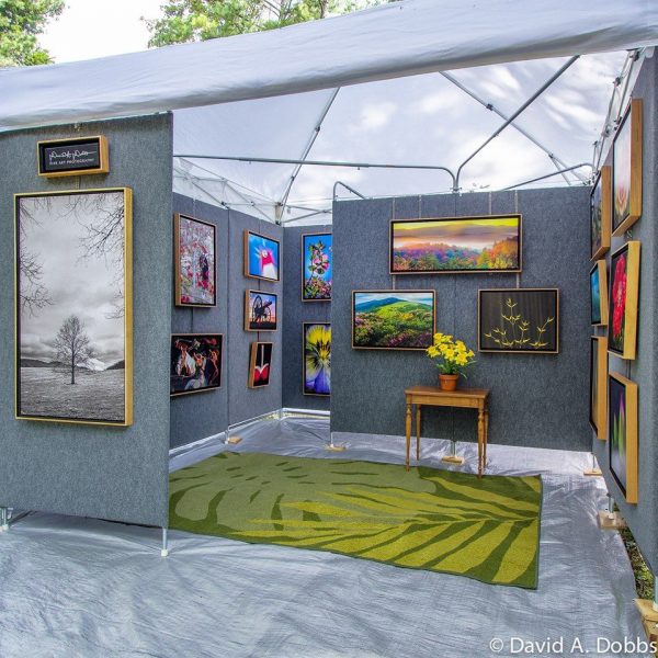 Earn Up to 50% Commission by Showcasing and Selling Your Artwork Earn Up to 50% Commission by Showcasing and Selling Your Artwork
