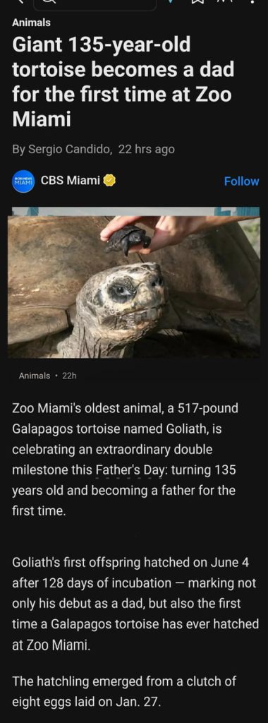 Galapagos Tortoise Becomes a Father for the First Time at 135 Years of Age Galapagos Tortoise Becomes a Father for the First Time at 135 Years of Age