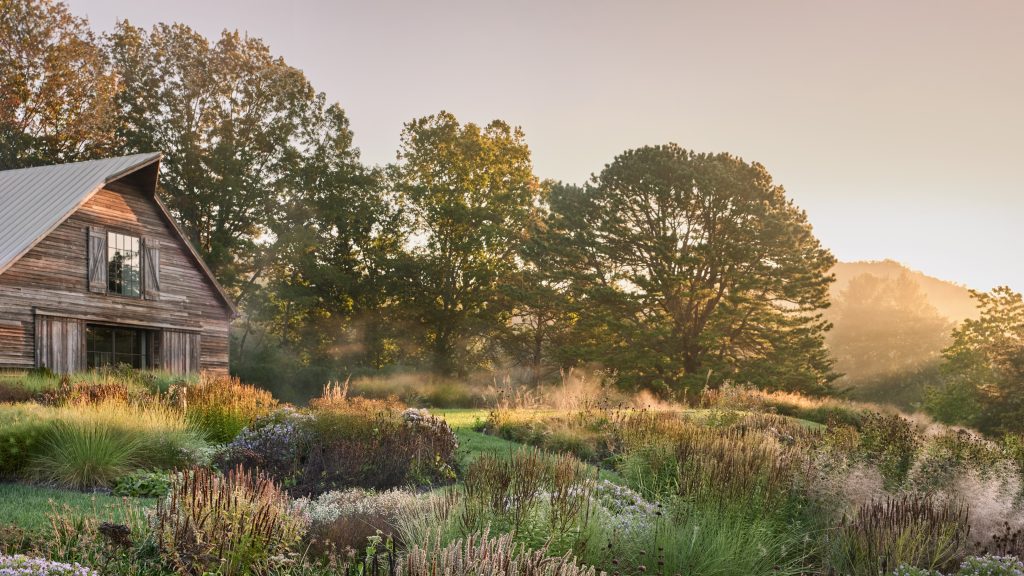 Glow-in-the-Dark Floral Pasture Supports Worldwide Wildlife Conservation Initiatives Glow-in-the-Dark Floral Pasture Supports Worldwide Wildlife Conservation Initiatives