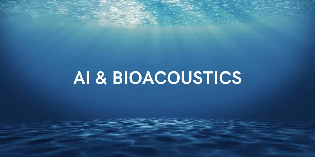 Google Employs AI to Analyze and Possibly Reply to Dolphin Communication Google Employs AI to Analyze and Possibly Reply to Dolphin Communication