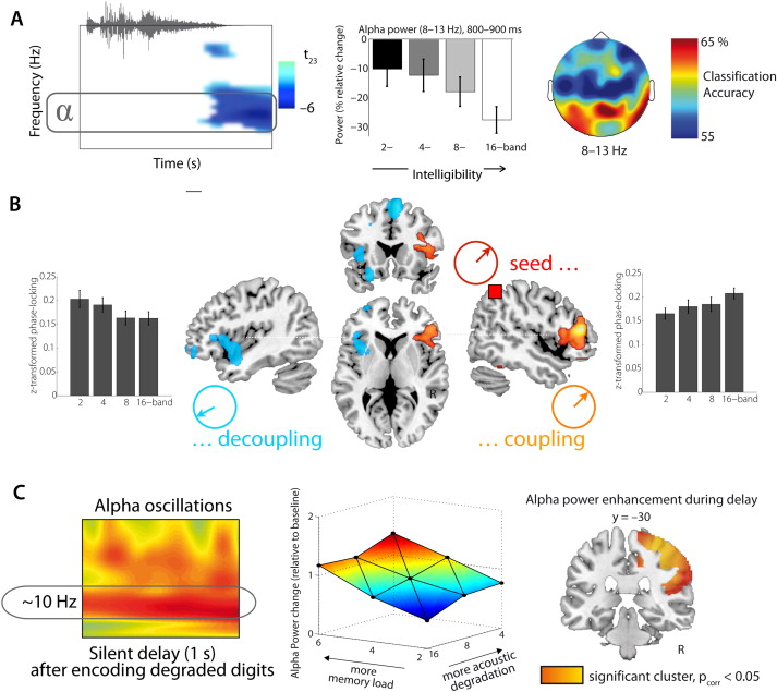 New Hypothesis Proposes Brainwaves Align with Music We Can’t Stop Listening To New Hypothesis Proposes Brainwaves Align with Music We Can’t Stop Listening To