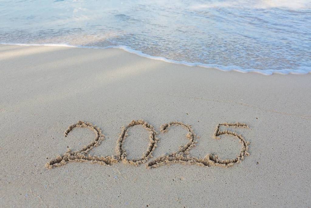Weekly Highlights: BSA Visuals for June 29, 2025 Weekly Highlights: BSA Visuals for June 29, 2025