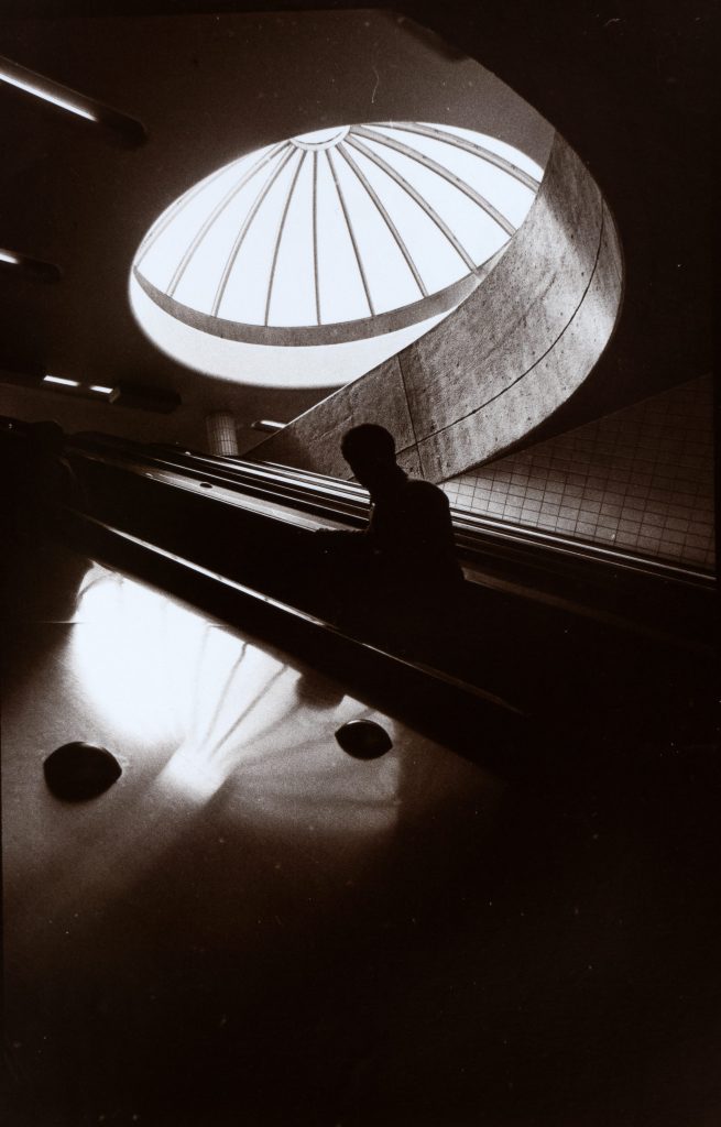 An Analytical Perspective on Masahisa Fukase’s “Darkness”
