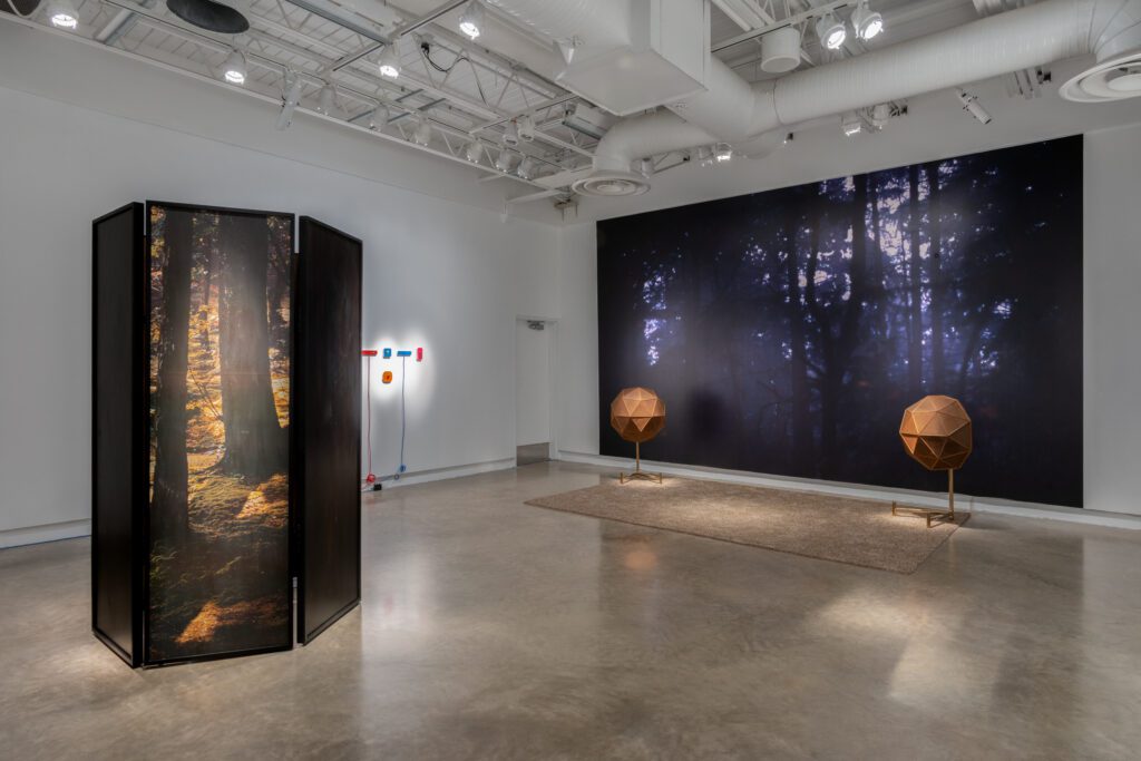 Artists Criticize Centre Pompidou’s Decision to Cancel Caribbean Art Exhibition