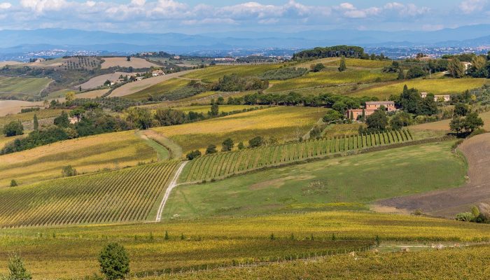 Contemporary Aesthetics Blend with Classic Wine Production at Tuscan Vineyard