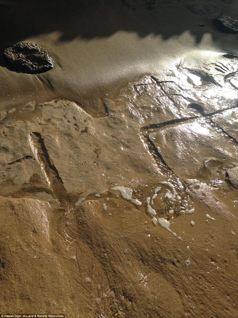 Centuries-Old Petroglyphs Revealed by Shifting Hawaiian Tides Centuries-Old Petroglyphs Revealed by Shifting Hawaiian Tides