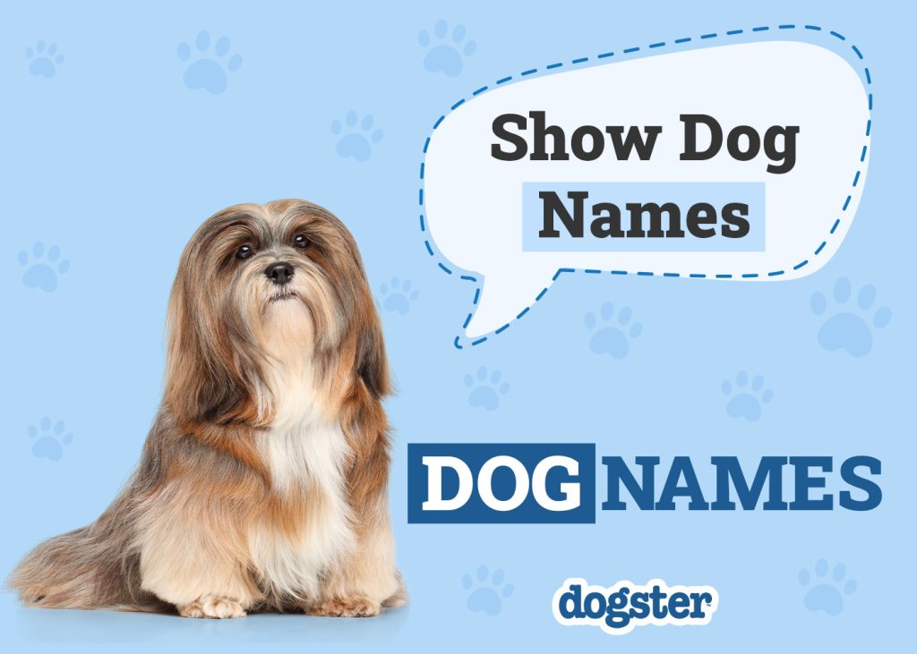 Participate in Creative Online Art Classes to Commemorate National Dog Month Participate in Creative Online Art Classes to Commemorate National Dog Month