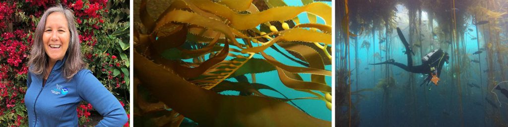 Scientist-Hosted Livestream of Deep Ocean Creatures Draws Millions of Spectators
