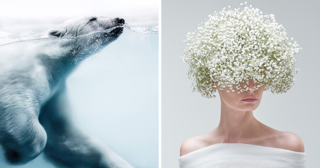 Award-Winning Images from the 2025 Prix de la Photographie Paris Competition