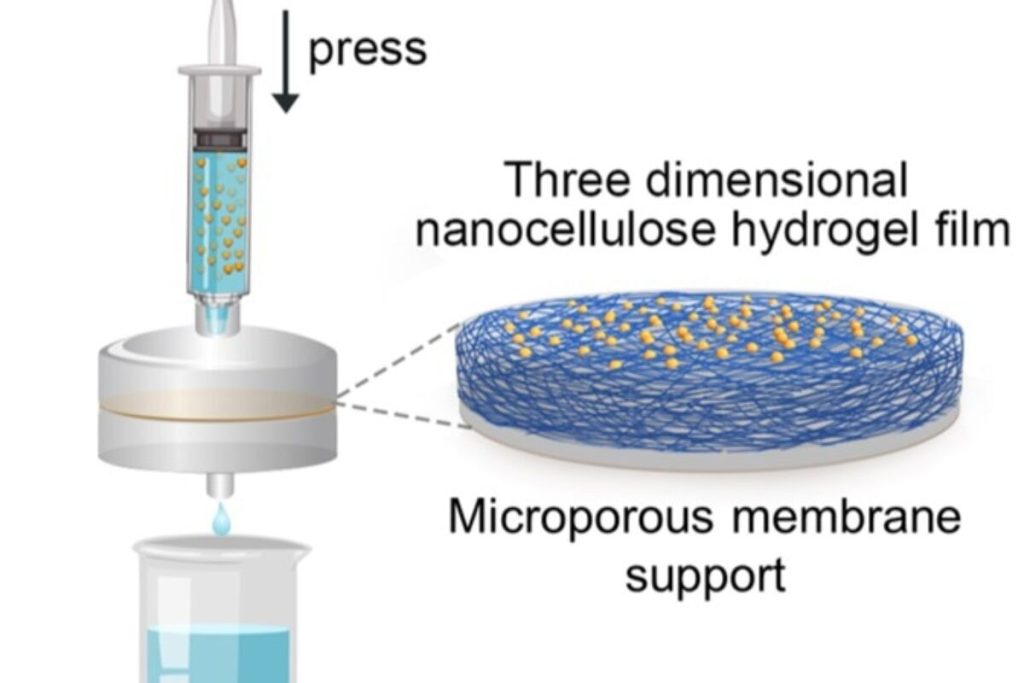 High School Student Develops Affordable Microplastic Filtering Technique for Drinking Water