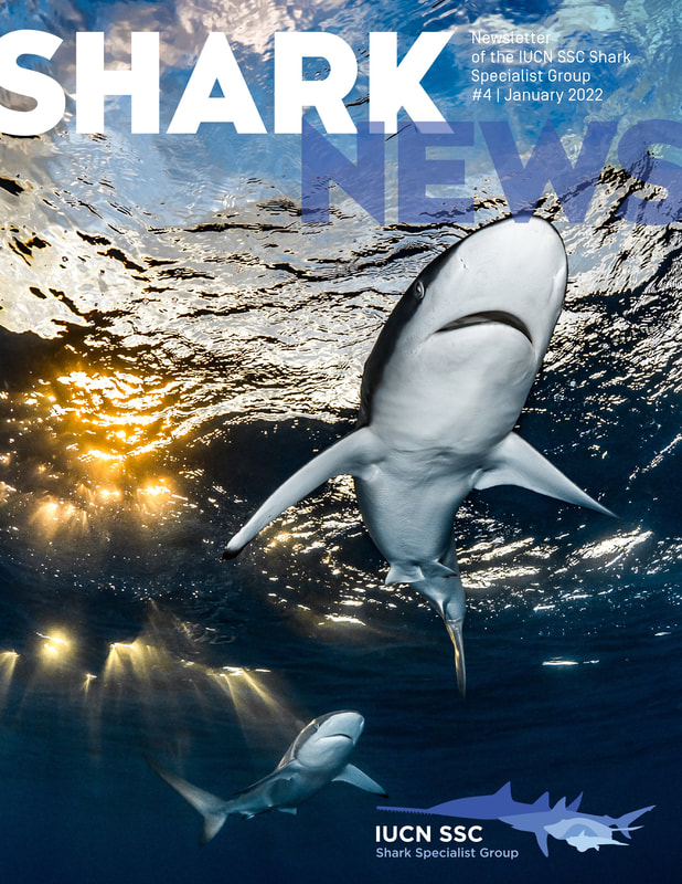 Interview with a Photographer Who Seizes Close Interactions with Great White Sharks Interview with a Photographer Who Seizes Close Interactions with Great White Sharks