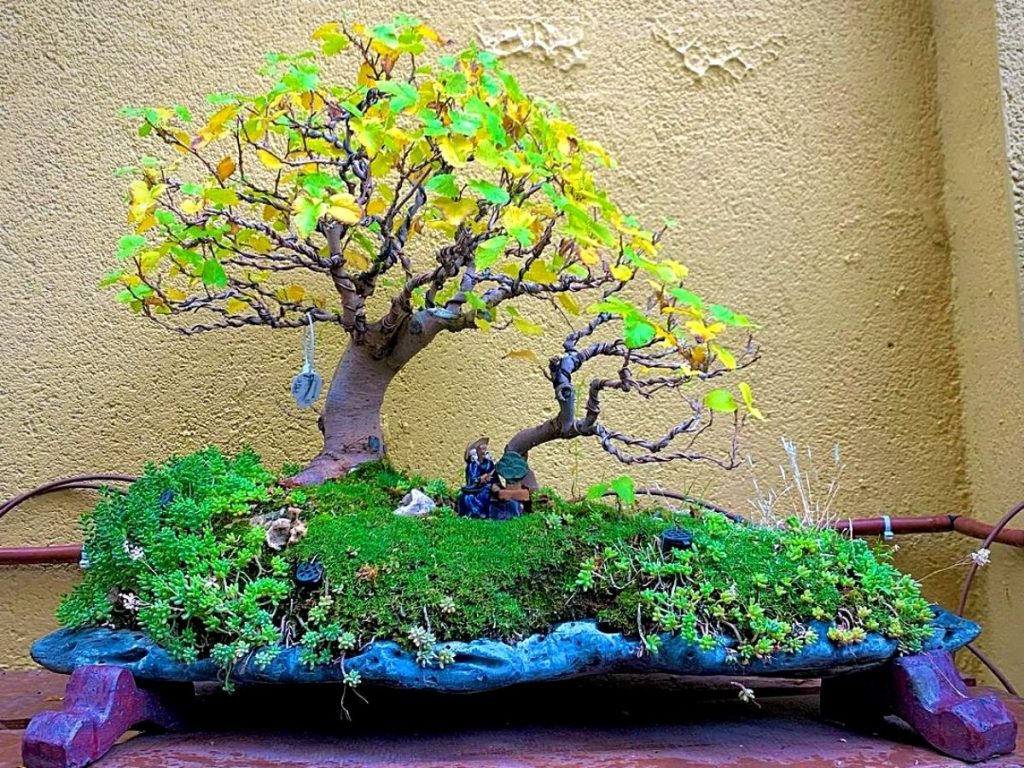 Interview with an Artist: Methods for Crafting Your Own Creative Landscapes Interview with an Artist: Methods for Crafting Your Own Creative Landscapes