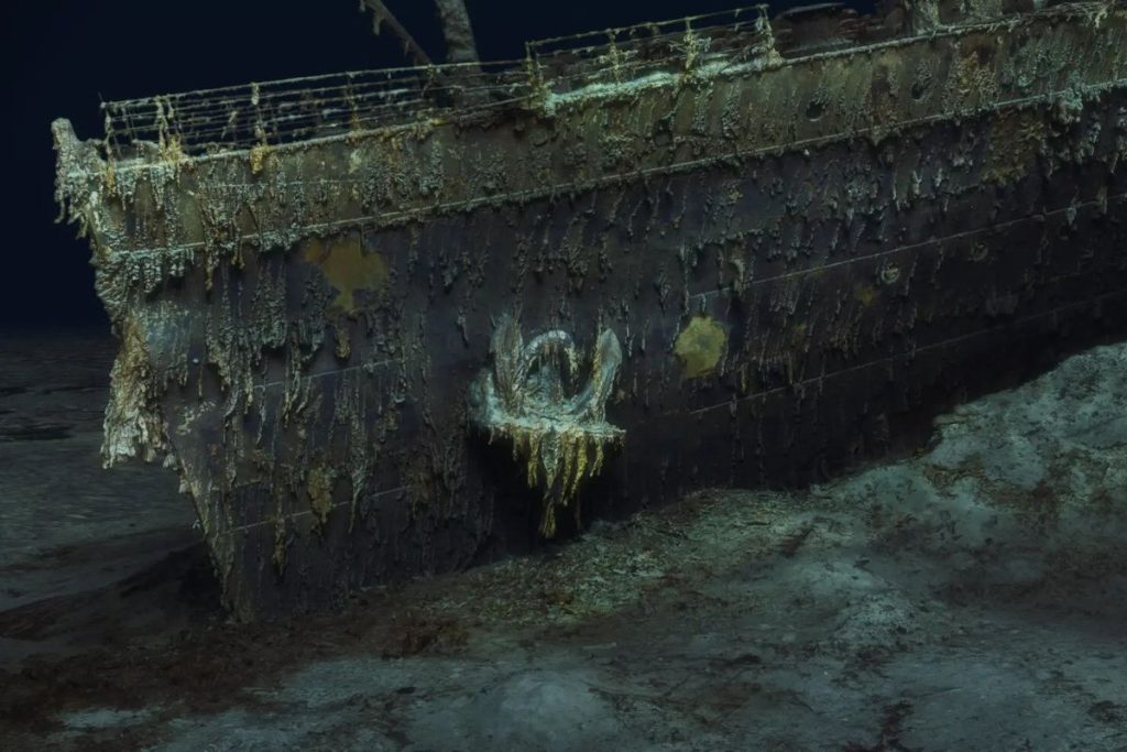 Underwater Photographer Reveals Concealed Shipwreck Discovered on Ocean Floor