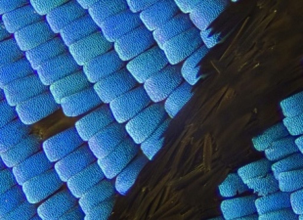 Fiber Artist Constructs Expansive Installations Featuring Light-Reflective, Color-Altering Effects