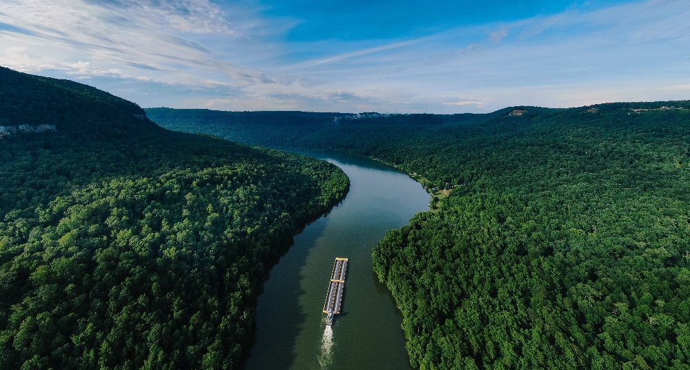 Hilarious Highlights: 2025 Nikon Comedy Wildlife Photography Awards Nominees Hilarious Highlights: 2025 Nikon Comedy Wildlife Photography Awards Nominees