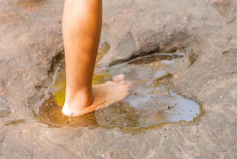 Human Footprints Discovered from 300,000 Years Ago, Illuminating Insights into Early Human History