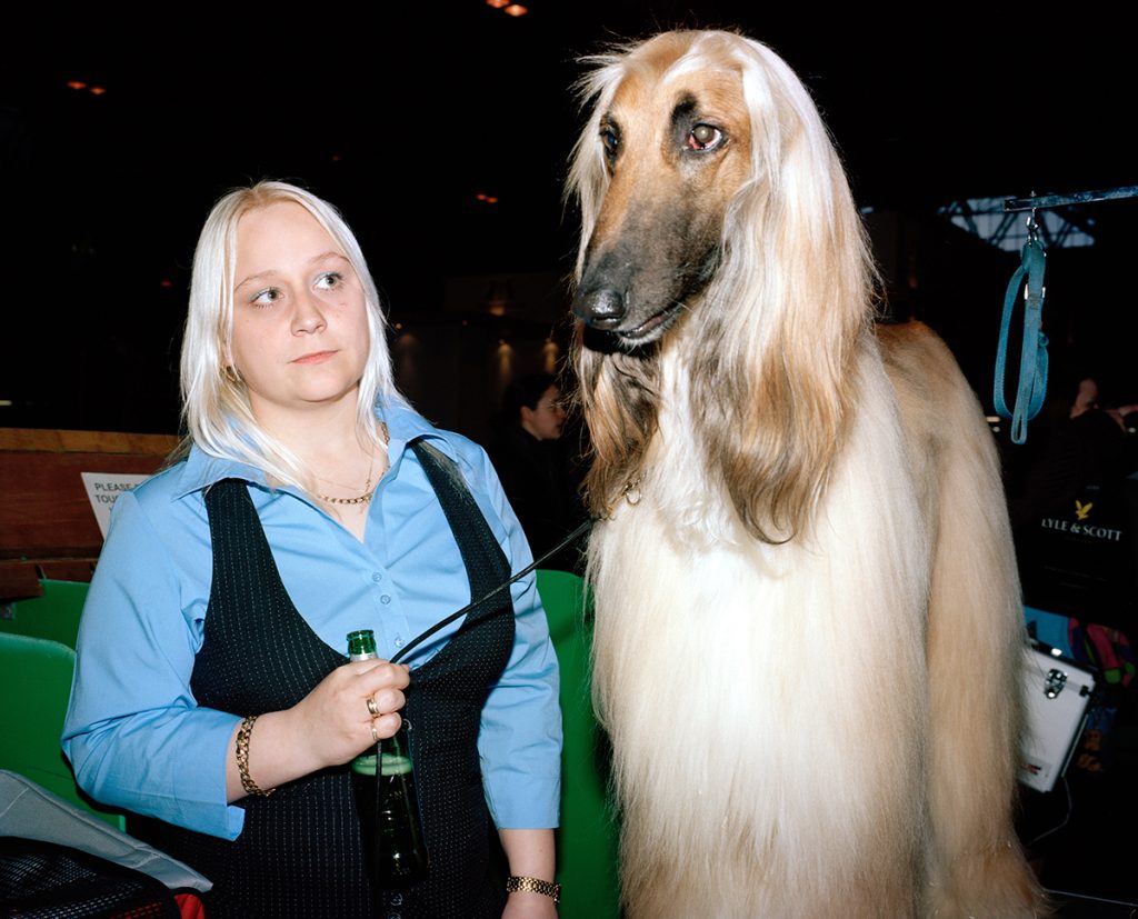 Samantha the Afghan Hound Rules the Fashion World