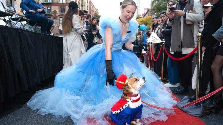 The Best Dogs at NYC’s Halloween Dog Parade