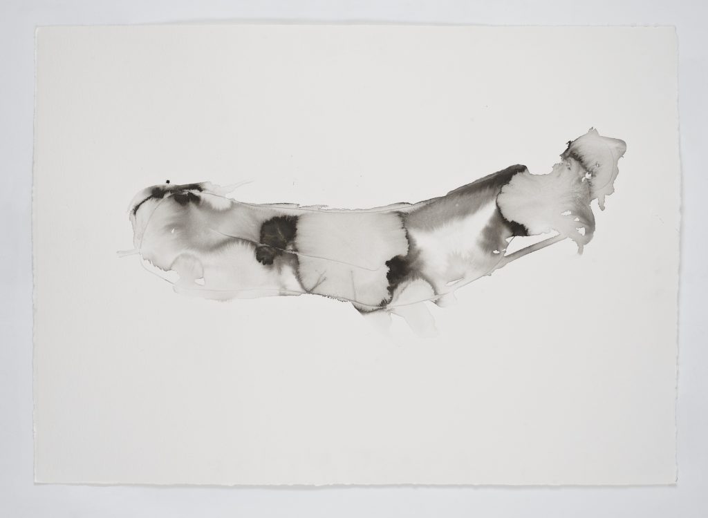 The Whitney’s Surrealism Exhibition Challenges Perception The Whitney’s Surrealism Exhibition Challenges Perception