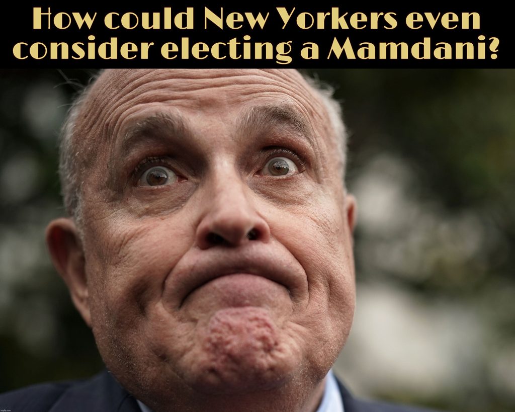 A Collection of Memes from the New York City Mayoral Election