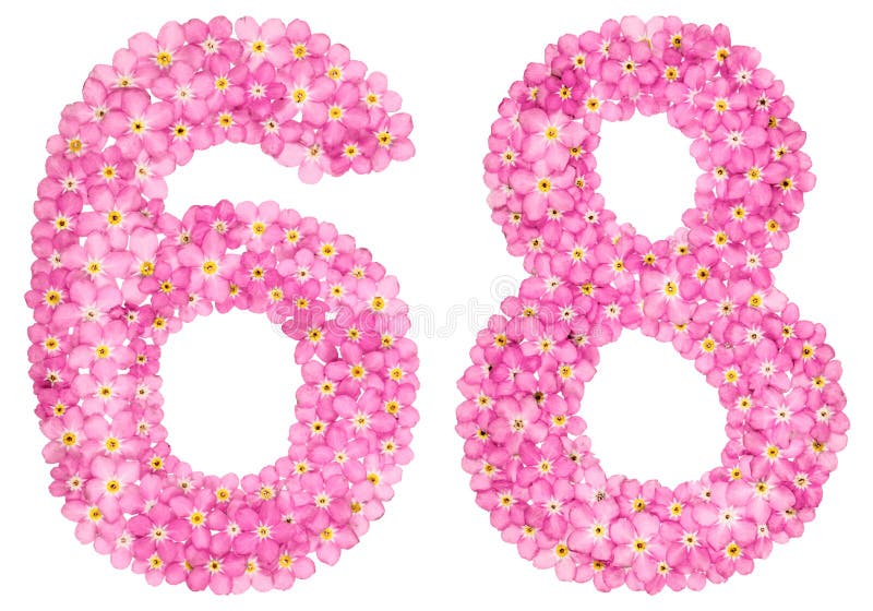 Elderly Female, 68, Showcases Remarkable Skateboarding Abilities at Community Park