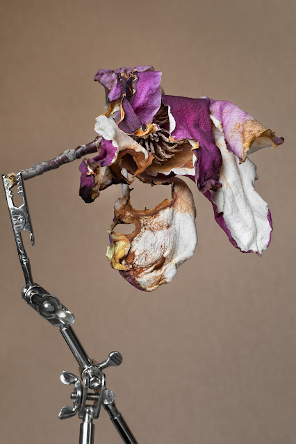 Exhibition in Seoul Unveils 400-Year-Old Silk Artwork for the First Time Exhibition in Seoul Unveils 400-Year-Old Silk Artwork for the First Time