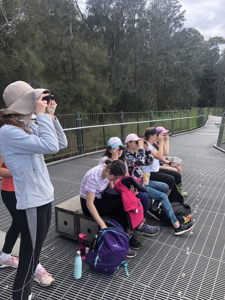 Exploring the Journey to Our Current Situation