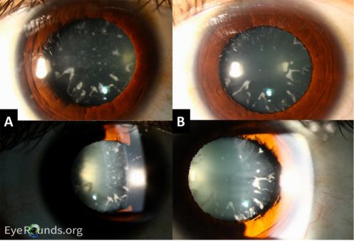 Focus on Photographer Taha Al-izzi