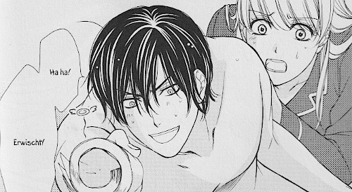 Gay Sheep Debut in High Fashion Show in New York City