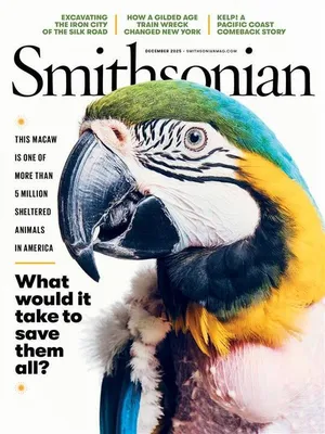 Cover image of the Smithsonian Magazine December 2025 issue