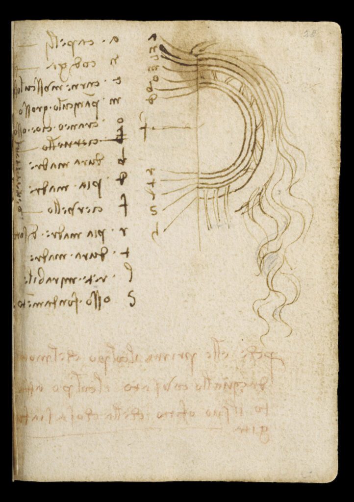 Leonardo da Vinci’s Comprehensive Archive of Sketches and Texts Completely Digitized