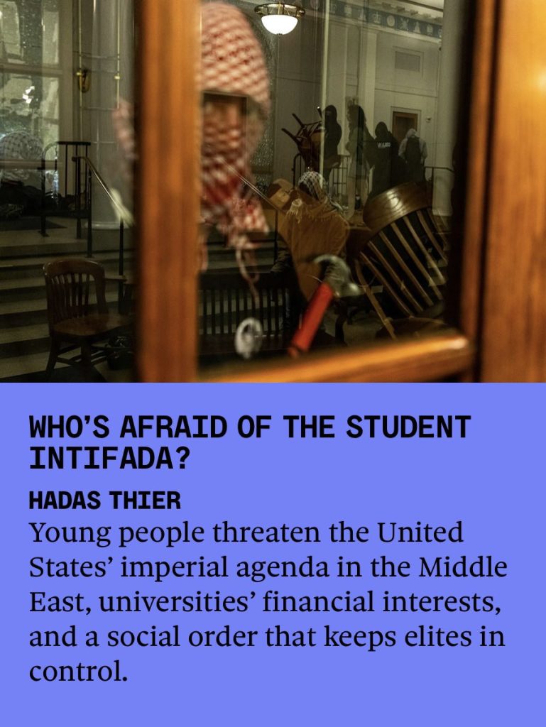 Molly Crabapple Celebrates Zohran’s Victory