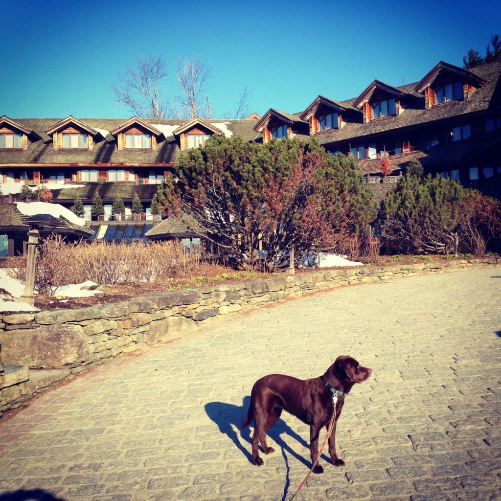 The Last Von Trapp Family Sibling Runs a Hill Resort in Vermont The Last Von Trapp Family Sibling Runs a Hill Resort in Vermont