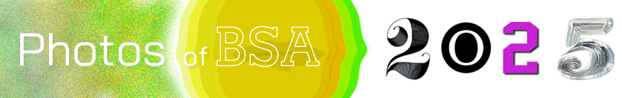 Eleventh Compilation of Images from BSA 2025 Eleventh Compilation of Images from BSA 2025