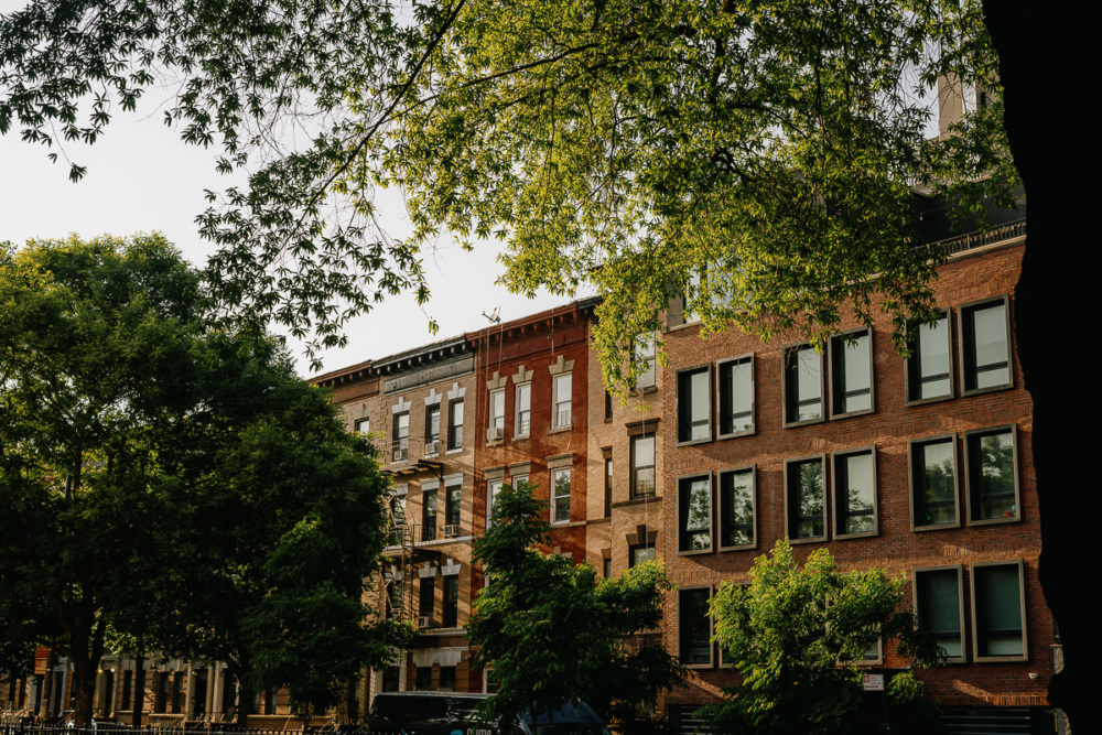 New York City Introduces Three New Appointed Public Artists in Residence New York City Introduces Three New Appointed Public Artists in Residence