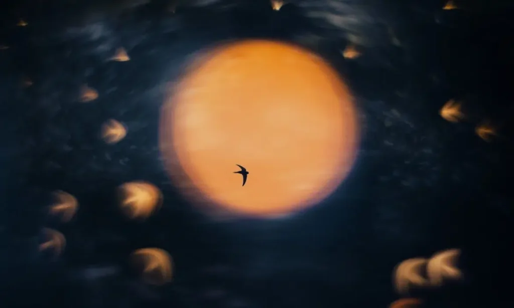 Top 45+ Pictures of 2025: The Finest Photos from Across the Globe