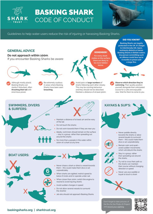 Worldwide Accord Achieved by 185 Nations to Safeguard 70 Threatened Shark and Ray Species